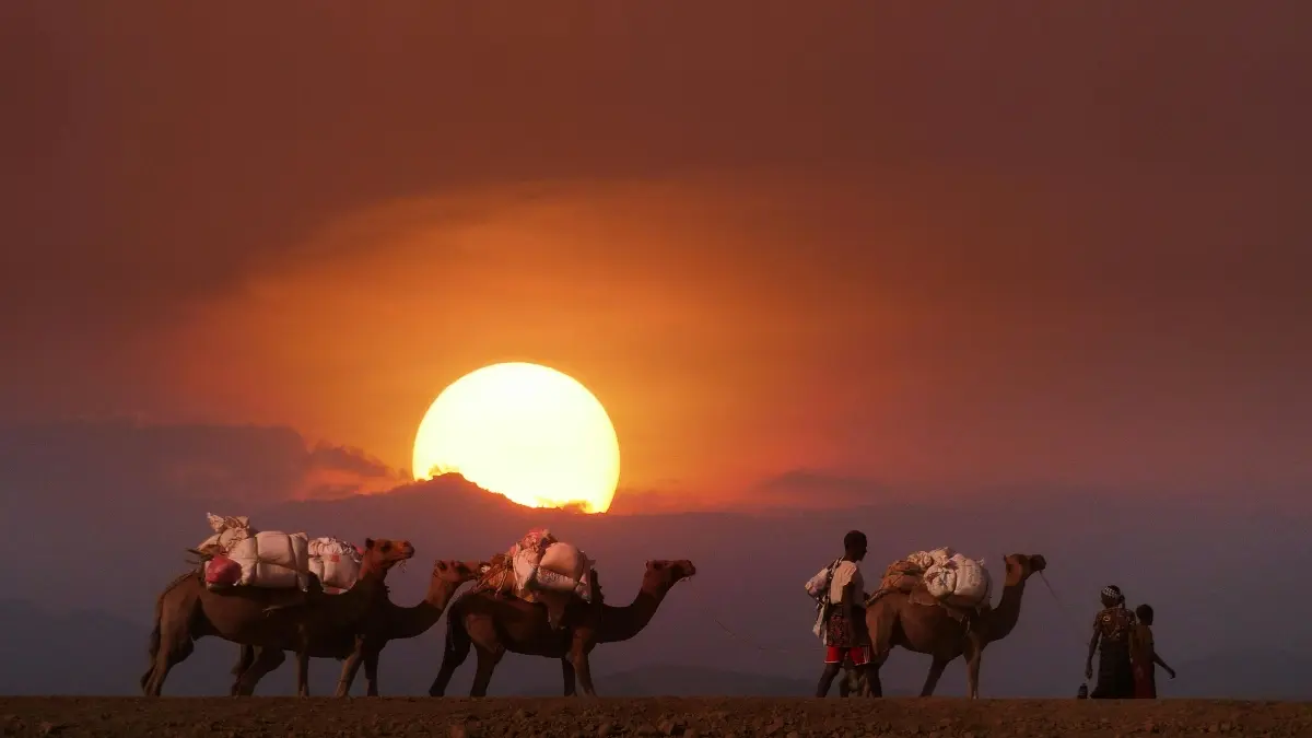 Ivorian Creators: Land Egypt Instagram Brand Features