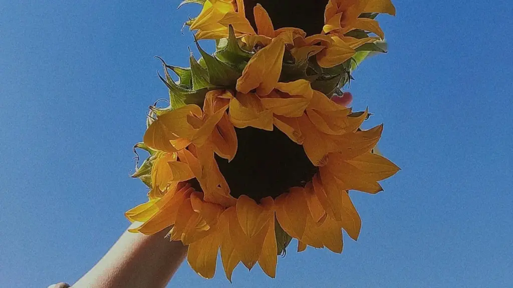 "Guide pratique pou créateurs en Côte d'Ivoire: stratégies concrètes pou joindre marques Maroc sur Rumble è kolabore ek éditeurs jeu."