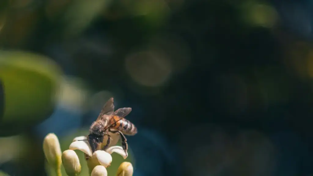 Guide pratique pou kɛrɛtɛ yera Côte d'Ivoire — coment joindre brand Maroc su VKontakte, konverti fan la, ni yera CTA fò.