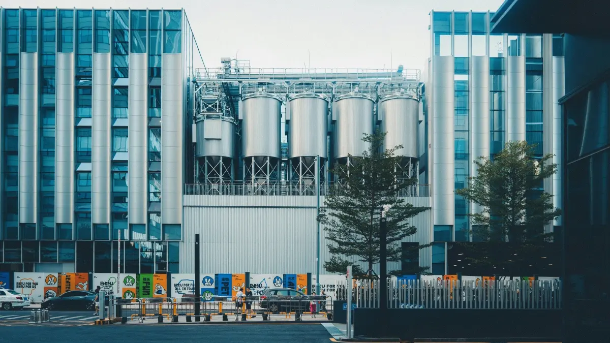Creators: Land NZ wellness brands on Instagram