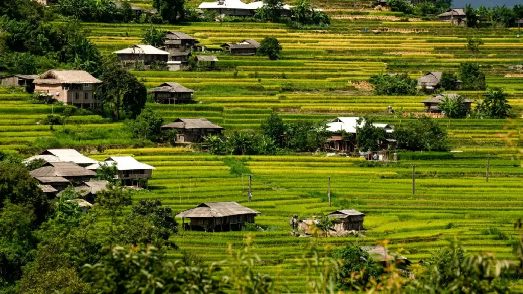 Guide pratique pour créateurs en Côte d'Ivoire qui veulent contacter marques suédoises sur HBO Max et créer contenu follow-up pour fans.