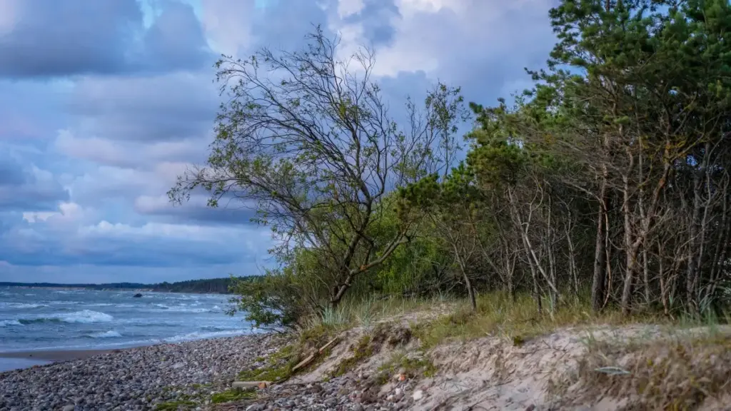 "Guide pratique pour annonceurs en Côte d'Ivoire : comment identifier et recruter créateurs à Singapour sur Amazon.sg pour valider une offre produit."