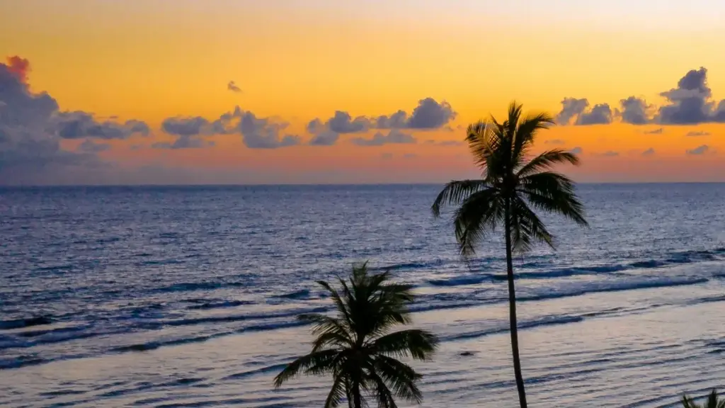 Guide local pour marques ivoiriennes : trouver créateurs Netflix en Équateur pour lancer vos suppléments santé.