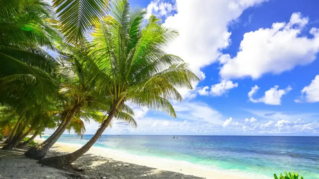 Guide local pour les annonceurs CI : dénicher les créateurs Peru Line qui font vendre votre app grâce aux influenceurs.