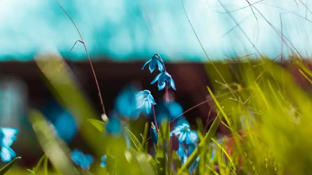 Guide pratique pour les annonceurs en Côte d'Ivoire souhaitant collaborer avec des créateurs Taobao en Éthiopie.