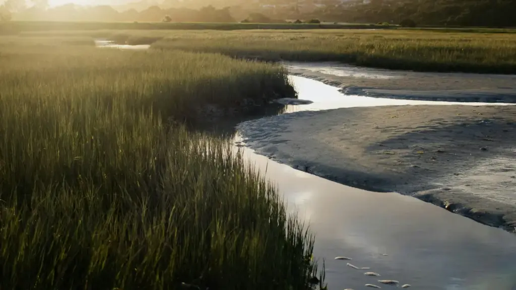 Découvrez comment connecter avec créateurs Kuaishou au Kenya pour lancer vos projets de marque socialement responsables.