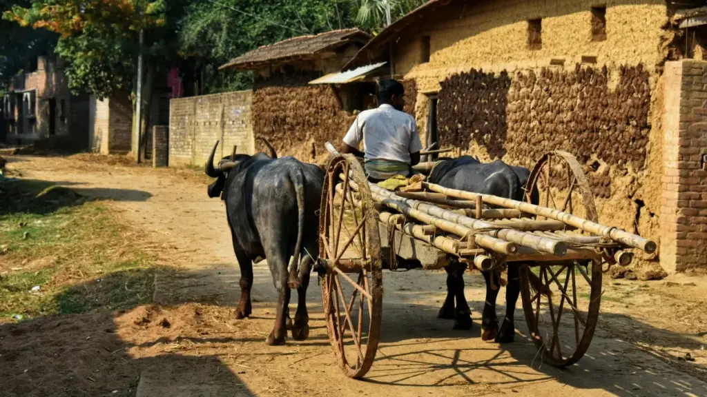 Kɔfɛɛ ni sɔ̀rɔ ye: kifɛ kɛ Ivoire annonceur bɛ yera Egypt WhatsApp créateurs la, ni kɔrɔ kosɛbɛ ni sariya kɛsaɲa don. Tugu, conseil, ani link NordVPN.