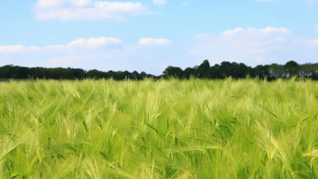 Guide pratique pour annonceurs en Côte d'Ivoire: comment repérer et recruter créateurs Clubhouse à Singapour afin de produire vidéos virales, avec tactiques, sources locales et checklist.