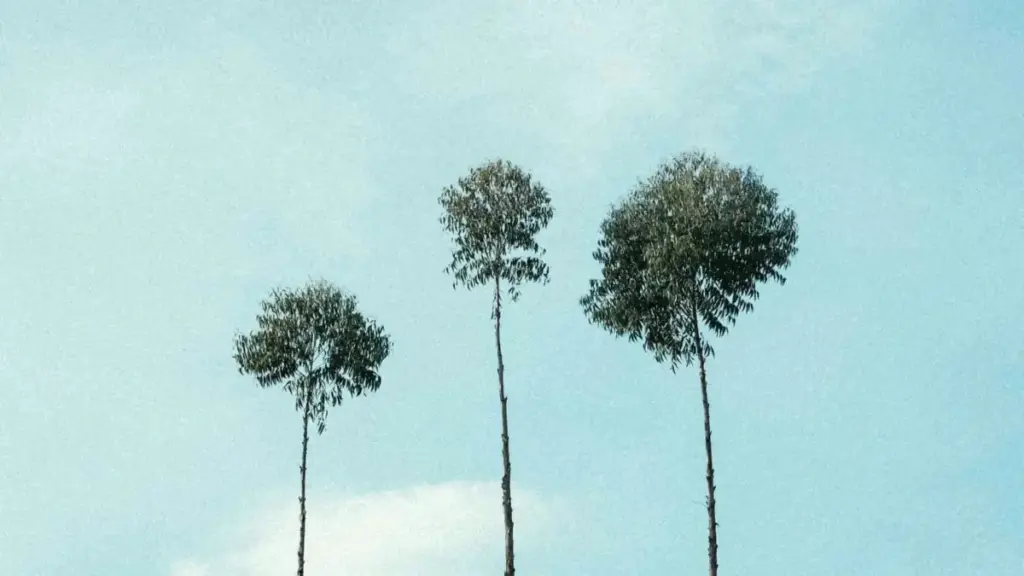 Guide pratique pour créateurs en Côte d'Ivoire qui veulent contacter marques du Népal sur Lazada et proposer des reviews longues — astuces, canal Tmall→LazMall, pitch, risques et checklist.