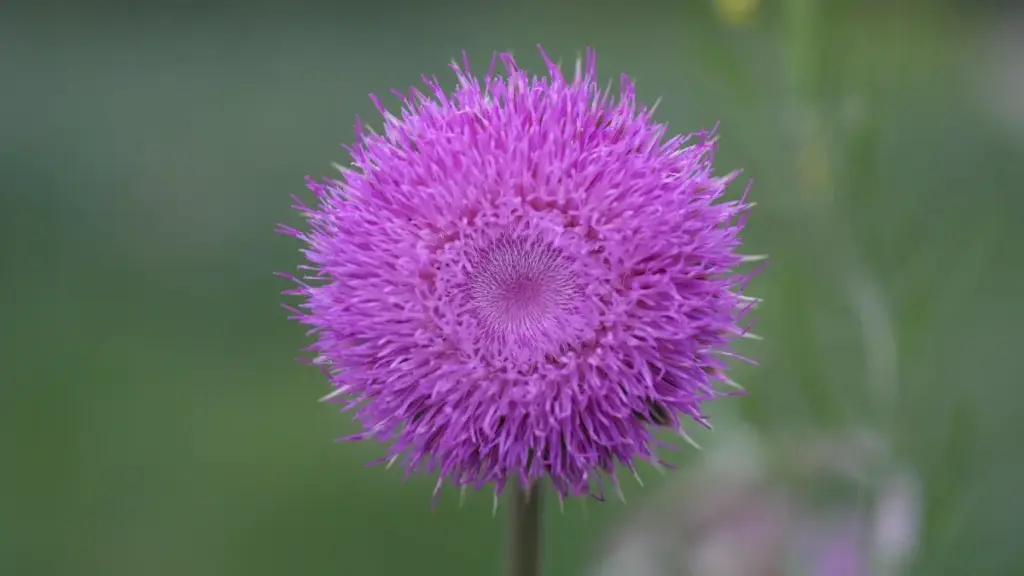 Guide pratique pou kreater en Côte d'Ivoire ki veu atteind marques Espagne su Roposo pou kontrè long-tèm. Tactiques, egzanp, tab data, FAQ, é MaTitie rekomandasyon VPN.