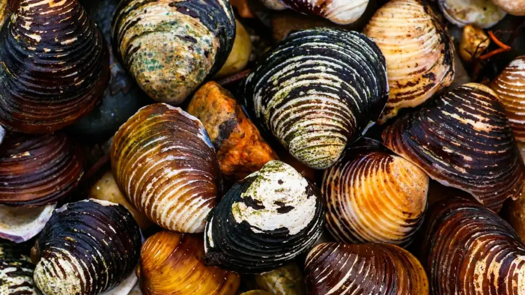 Guide pratique pou annonçeurs en Côte d'Ivoire: comment identifier, contacter et co-créer drops co-branded avec créateurs Facebook au Bahrain — tactiques locales, risques, et checklist opérationnelle.