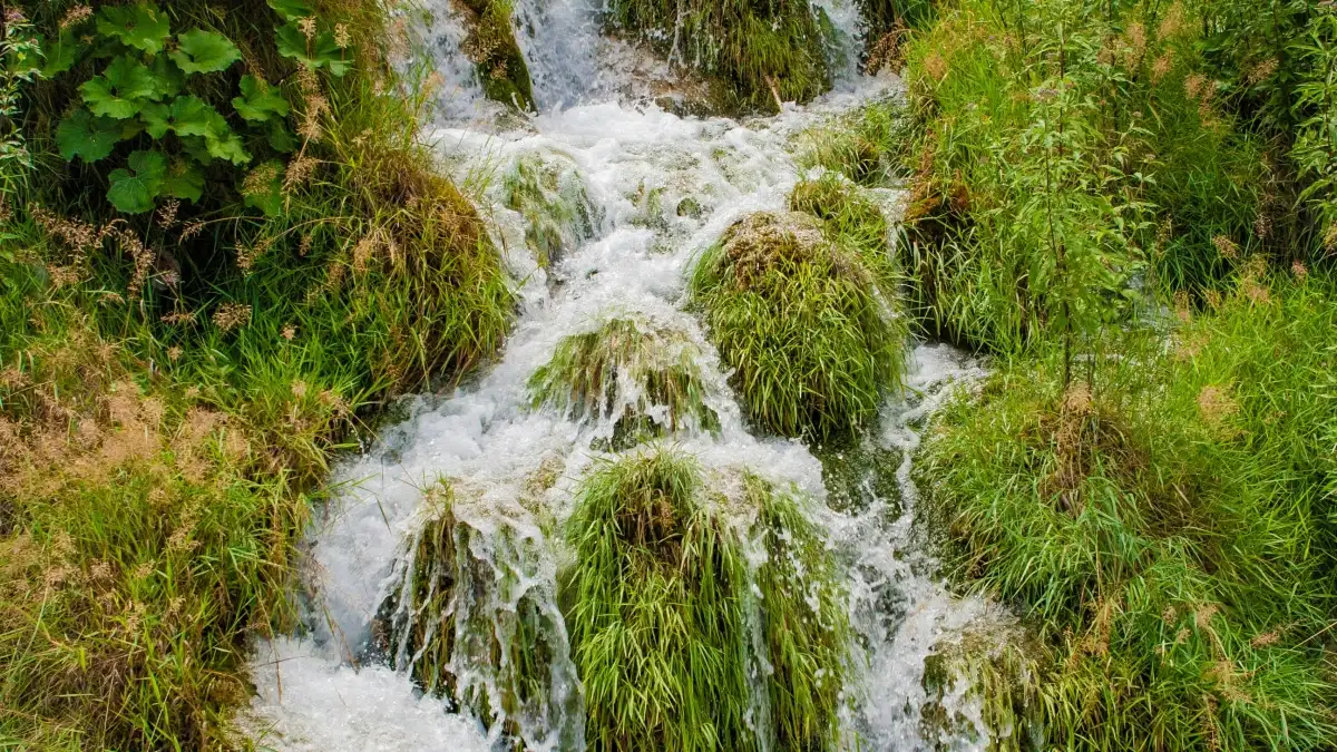 Annonceurs CI: Trouver créateurs Iran sur Chingari, vite