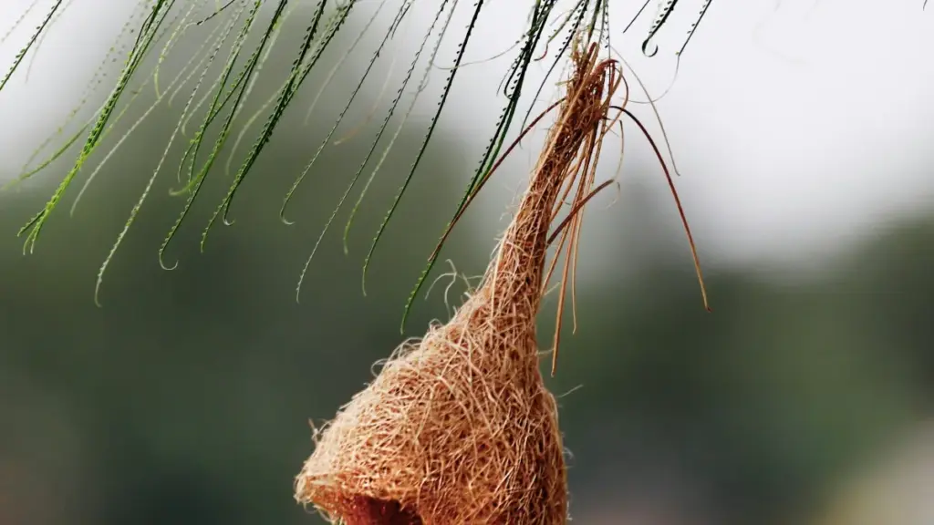 "Guide pratique pou annonceurs en Côte d'Ivoire: comment choper créateurs Instagram Japan, taktique communautaire, tip pou engagement dans gaming."