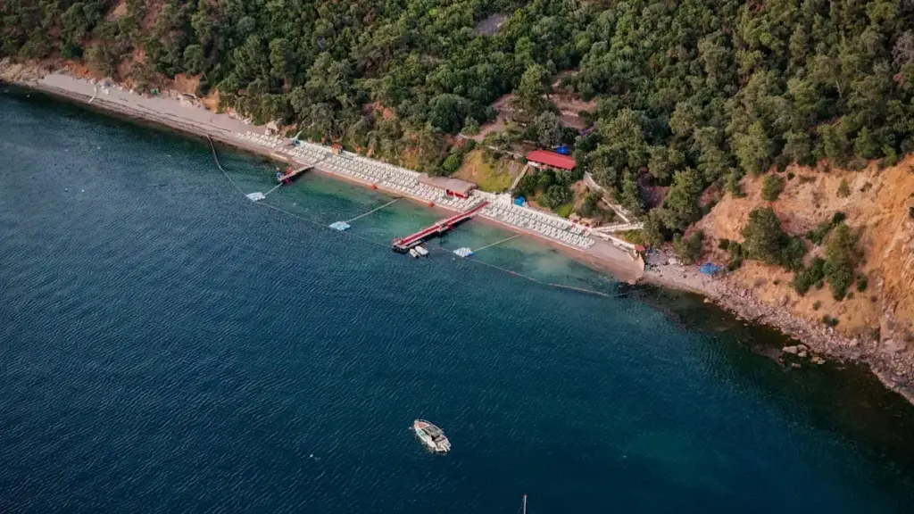 Kana fɔ, yɔrɔmana Côte d'Ivoire: ka kɛnɛ yera Slovenia KakaoTalk créateurs ni style influencers kɛ, faamu yira, kan bɔlenni ni safɛ.