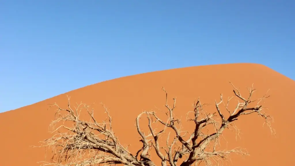 Guide pratique pou créateurs en Côte d'Ivoire: comment contacter marques égyptiennes sur Xiaohongshu, préparer offres, négocier giveaways, et éviter pièges. Tactiques locales et checklist.