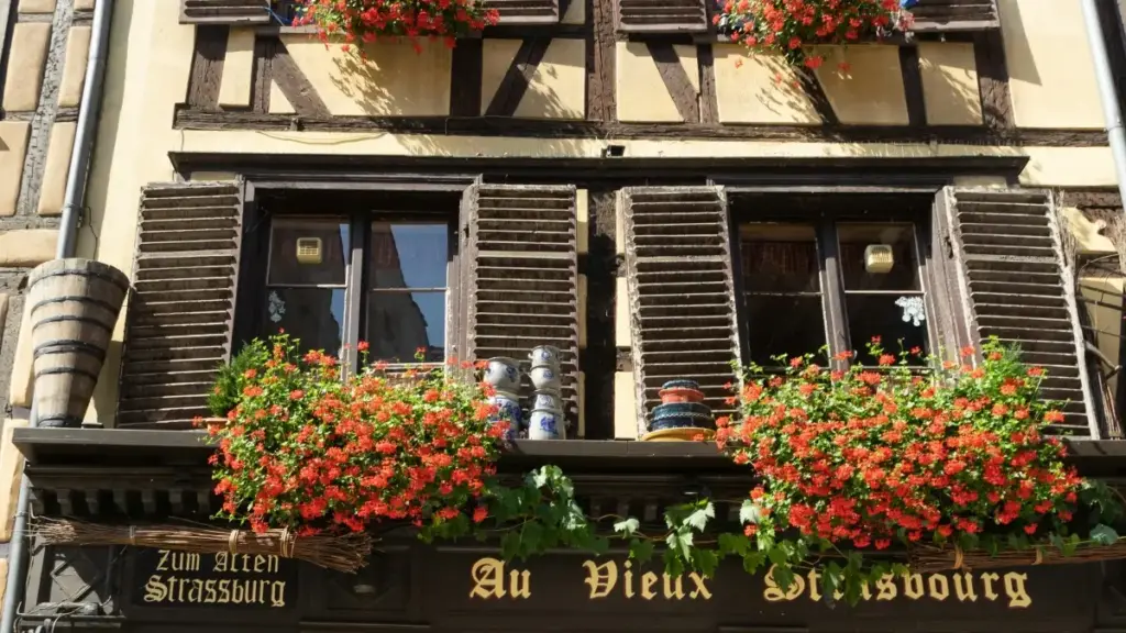 "Guidu praktiku pou créateurs an Côte d'Ivoire on kɛnɛ fɔ wa ta joindre marques Espagne su Viber, tactik lokal, ejzanp Cupra, é kosɛy pou nɛgosié kolaborasyon."