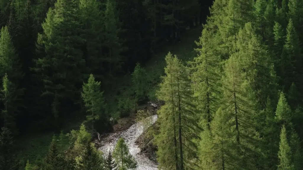 Guide pratique pour créateurs en Côte d'Ivoire qui veulent contacter marques au Koweït via OnlyFans et partager codes promo limités — stratégies, risques, et modèle d'approche.