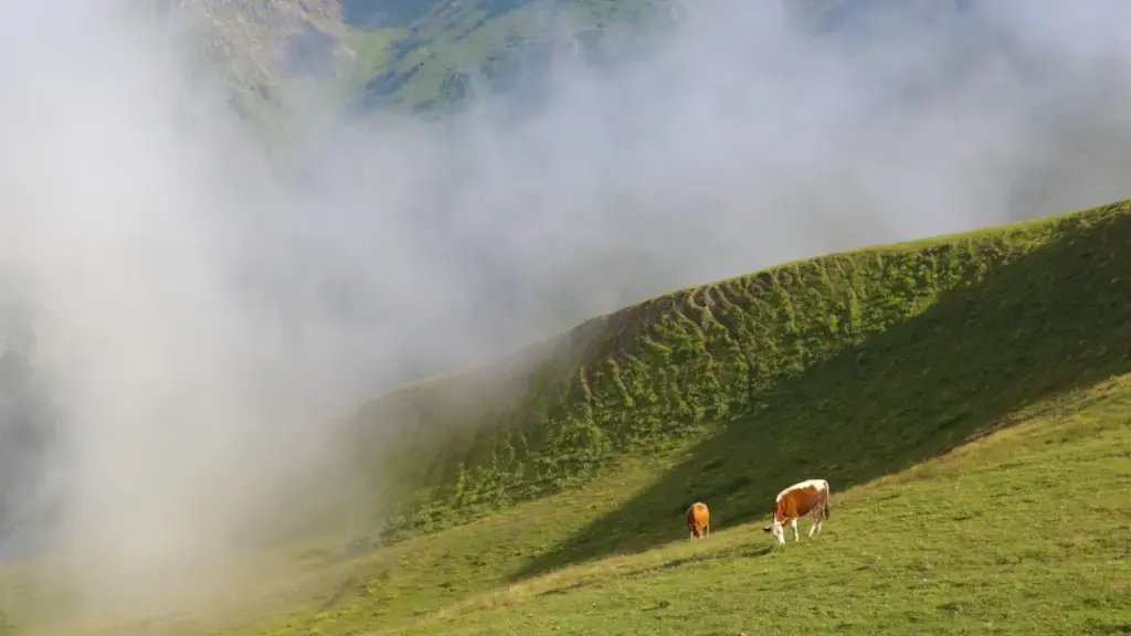 Guid praktikal pou créateurs en Côte d'Ivoire ki veu contactez marques Slovénie su WhatsApp pou reçoi, déballé é réviyé PR pakè — tactik, messages modèle, é conformité.