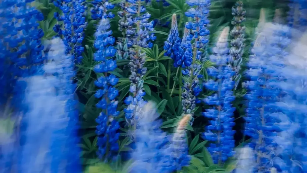 Guidé pratik pou maketer an Côte d'Ivoire: kijan pou idantifye, verifye é kontakte créateurs Malaysia sou Disney Plus pou touche niche audience.