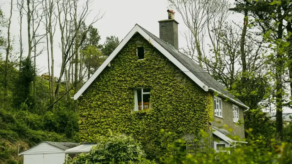 Guide pratique pou Côte d'Ivoire: tactics local pou identifier, contacter, tester produits avek créateurs Chingari Afrique du Sud, cas réels, risques, et checklist opérationnelle.