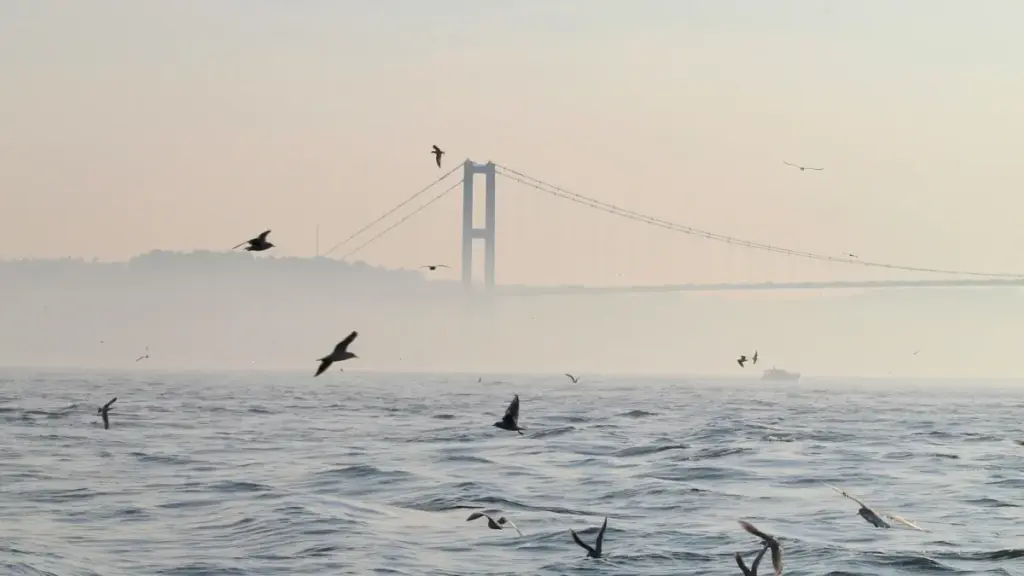 Guide pratique pour annonceurs en Côte d'Ivoire: comment identifier, contacter et lancer des défis fitness menés par créateurs WeChat basés aux États‑Unis — tactiques, outils, risques et exemples concrets.