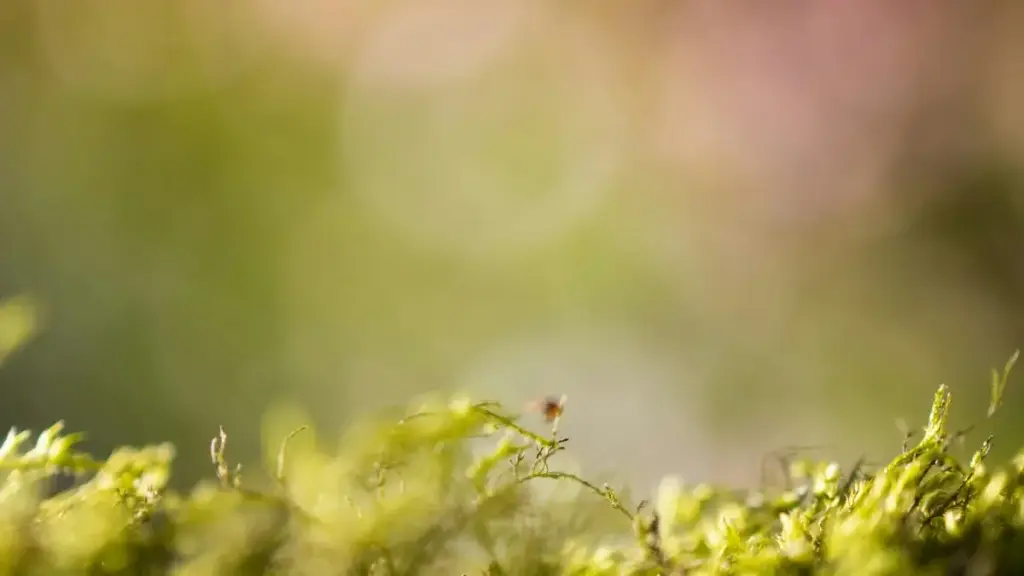 Guide pratique pou wè kontak ak Estonian brands sou Instagram, pas a pas, ak tips pou review prodwi beauté et skin care.