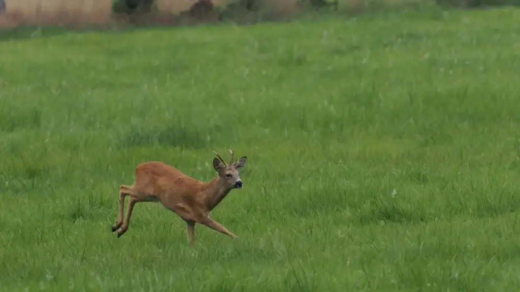 Guide pratique pou yélen bɛɛ kɛ́rɛ kɔnɔ: kɔrɔ sina Spain Bilibili créateurs ka fo sociably responsable campagne, méthode, outils, risques, et exemples.