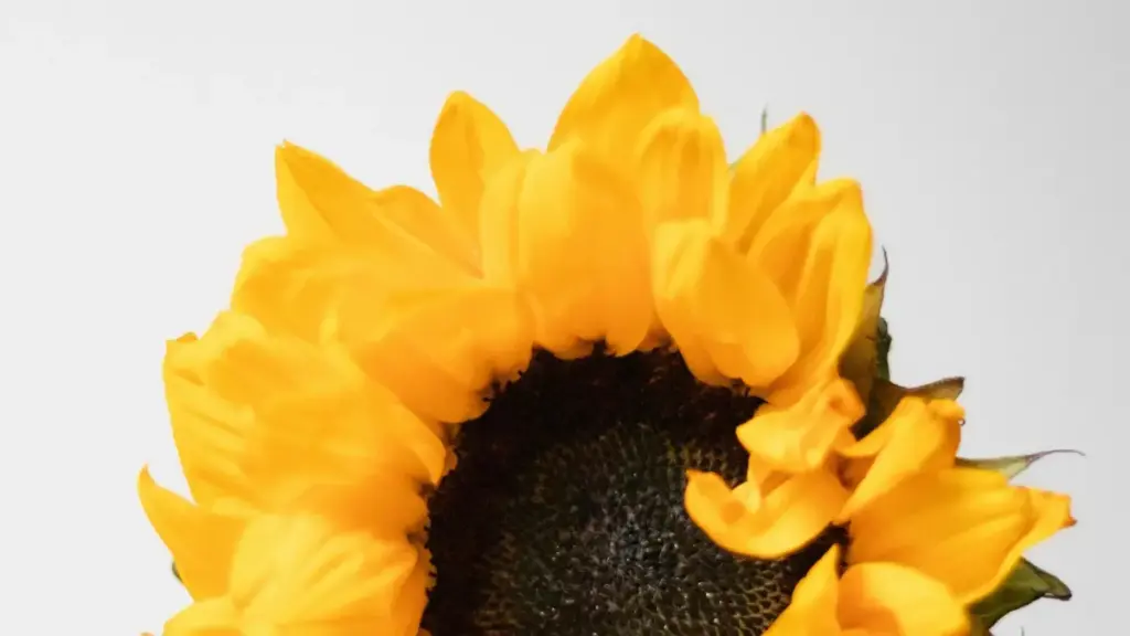 Guide local et pratique pour annonceurs en Côte d'Ivoire qui veulent lancer promos de chansons avec créateurs Snapchat au Panama — étapes, pitch, outils, risques et ROI.