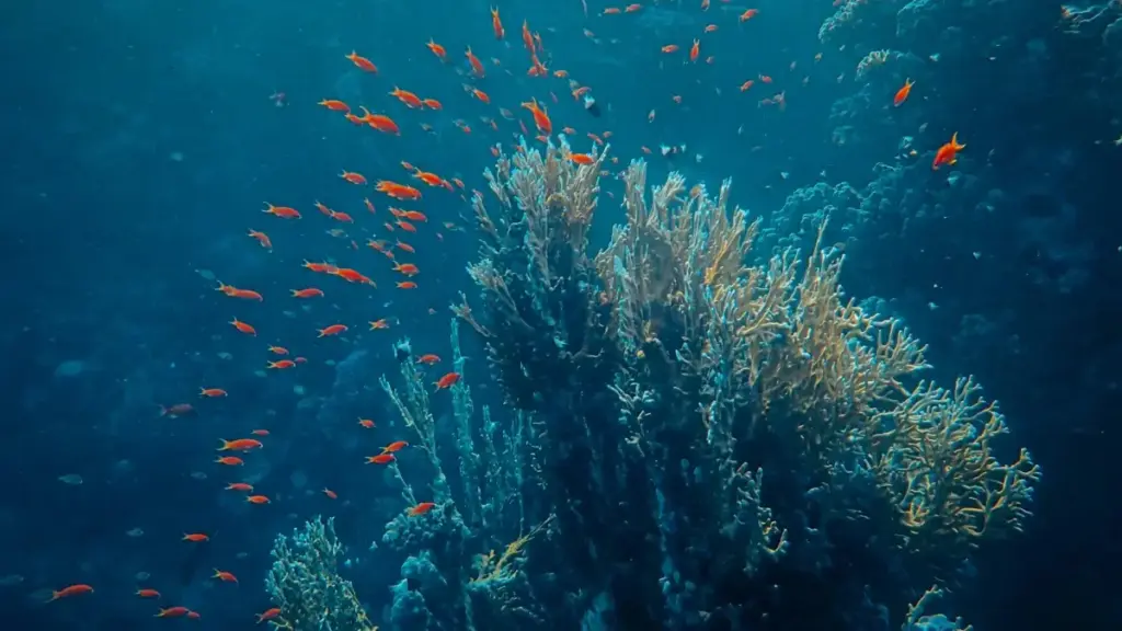 Guide pratique pour créateurs en Côte d'Ivoire qui veulent pitcher marques en Tanzanie via Threads et streamer contenu de jeu sponsorisé.