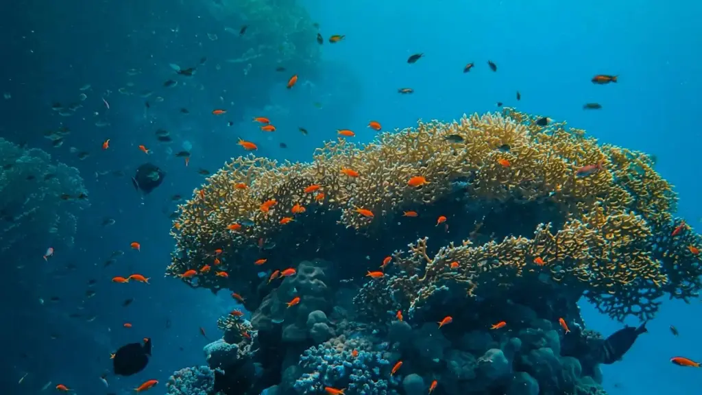 Guide pratique pour annonceurs ivoiriens: comment dénicher et collaborer avec des créateurs Amazon basés en Géorgie pour booster visibilité produit via exposure créateur.