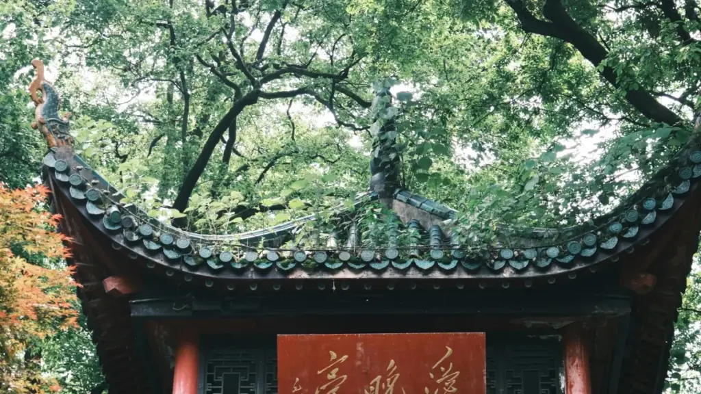 Guide pratique pour annonceurs en Côte d'Ivoire qui veulent dénicher créateurs islandais liés à HBO Max et transformer audiences engagées en leads.