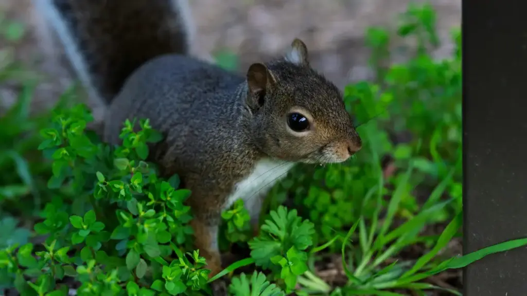 Guide pratique pour annonceurs en Côte d'Ivoire: où et comment recruter créateurs taobao basés en Arménie pour promouvoir routines bien‑être via influenceurs.