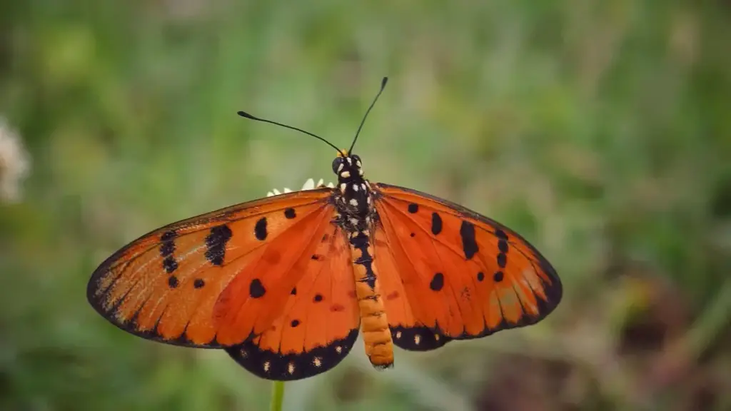 "Guidé pratique pou reklameurs en Côte d'Ivoire: comment détecter, verifier et engager créateurs TikTok d’Irlande pou montrer tendances mode saisonnière, avec stratégie hybride et outils."