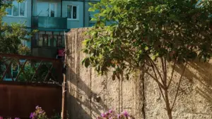 Guide pratique pour créateurs en Côte d'Ivoire : comment contacter marques algériennes sur Discord, construire partenariats pour giveaways et monter campagnes qui créent vrai engagement.