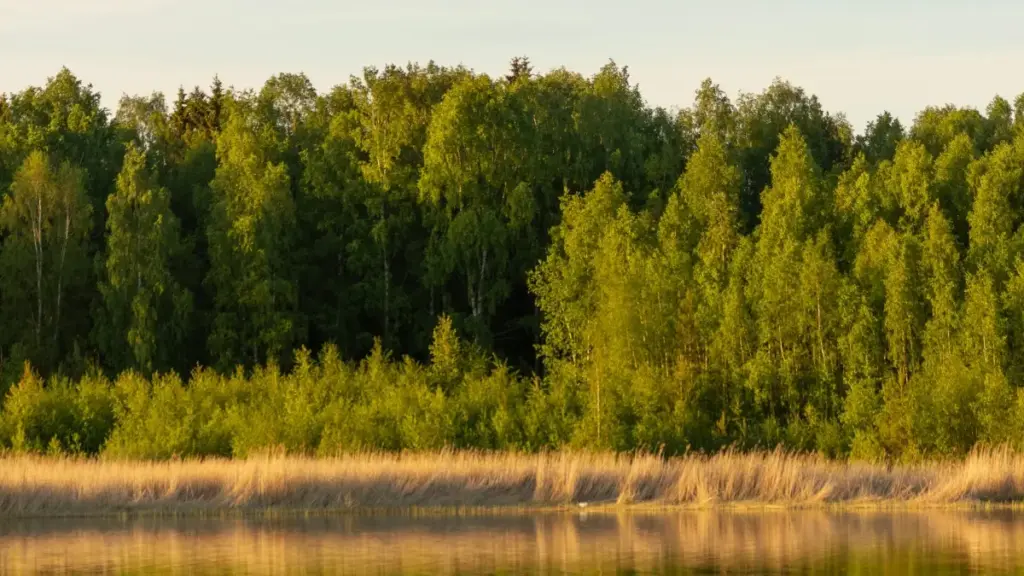 Guide local pour annonceurs en Côte d'Ivoire: comment cibler et engager créateurs LinkedIn au Luxembourg pour promouvoir routines de bien‑être via influenceurs.