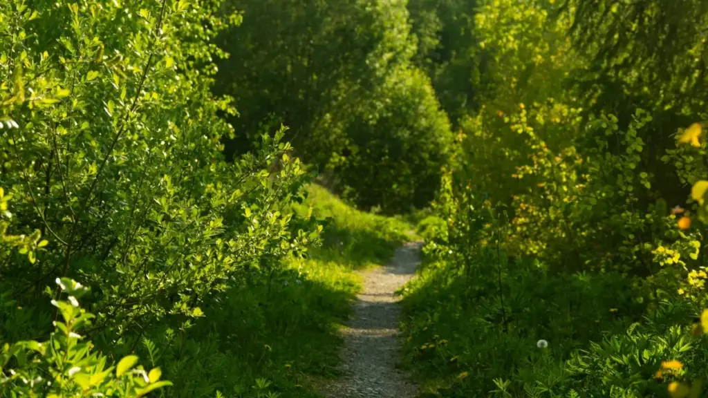 Guide pratique pour créateurs en Côte d'Ivoire qui veulent approcher marques suédoises sur Instagram pour collabs autour de tendances musicales.