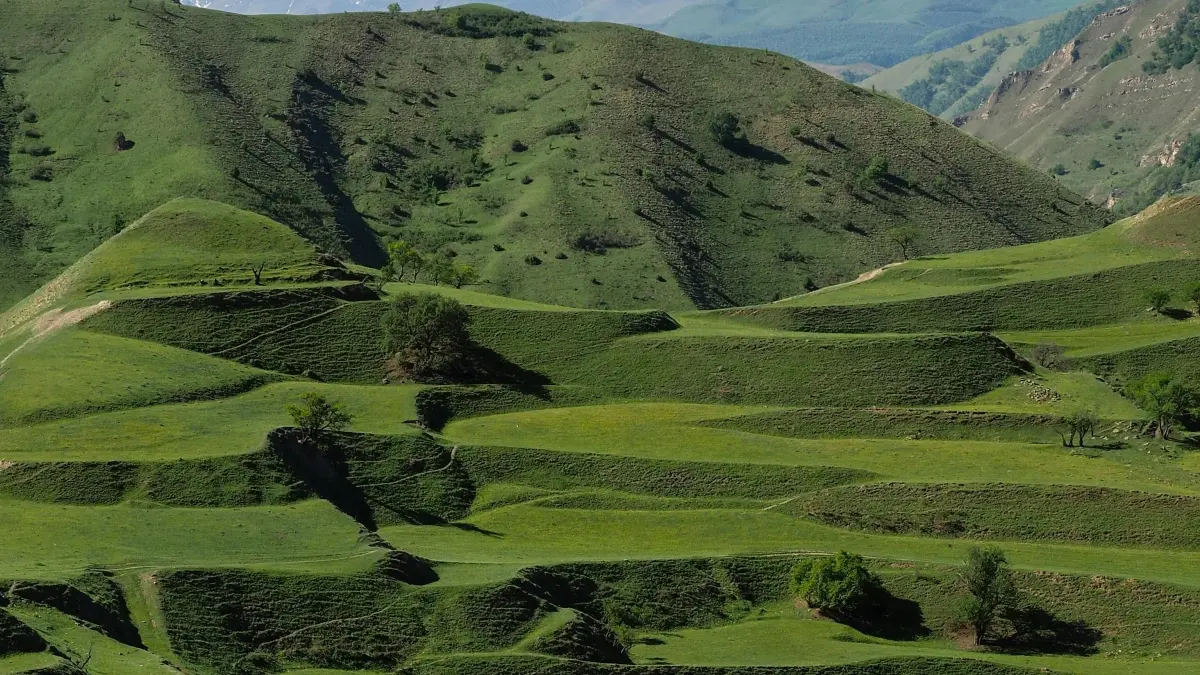 Markité Costa Rica TikTok créateurs — Trouver, vérifier, localiser