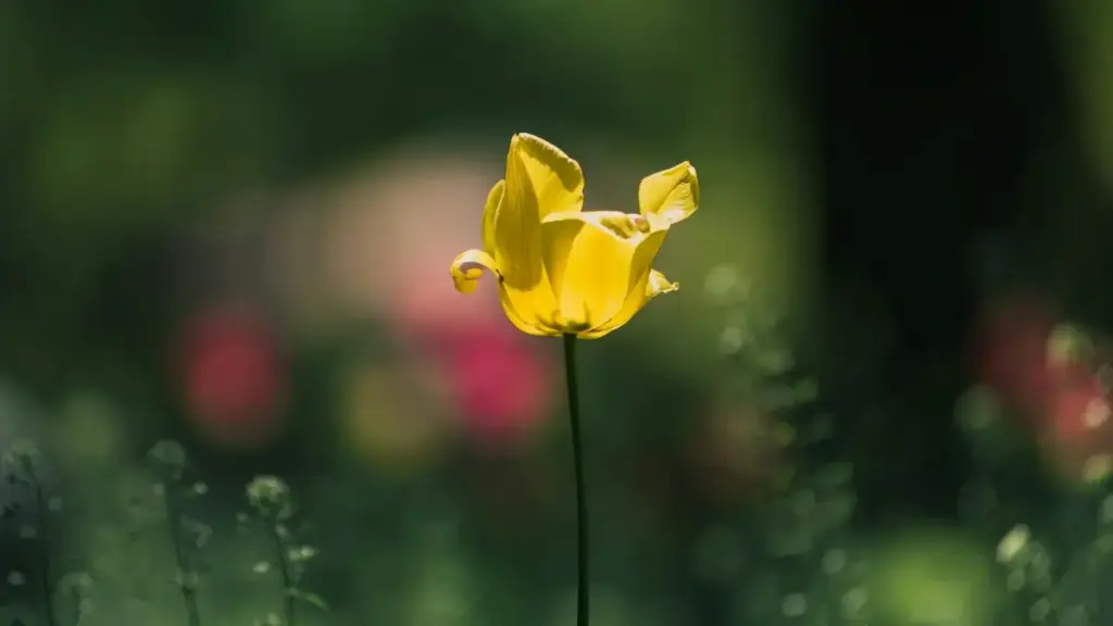 Guide pratique pour annonceurs en Côte d'Ivoire: comment identifier, contacter et envoyer PR packages à créateurs Twitter (X) aux Pays‑Bas — tactiques locales, risques et modèles de collab.