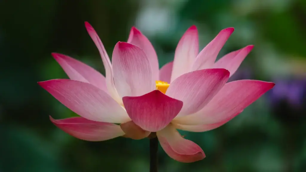 Kɔrɔba taa: ni kɛndɛn wulu wo sluvenie Douyin créateurs ka sigi mobile jeu lancement, kana kɛrɛya fɔlɔ ni tactique.