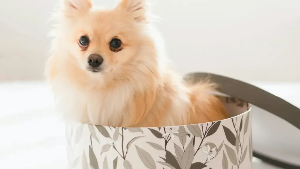 Guide pratique pour créateurs en Côte d'Ivoire qui veulent contacter marques du Bangladesh sur Reddit et co-créer bundles exclusifs — tactiques, exemples et risques.