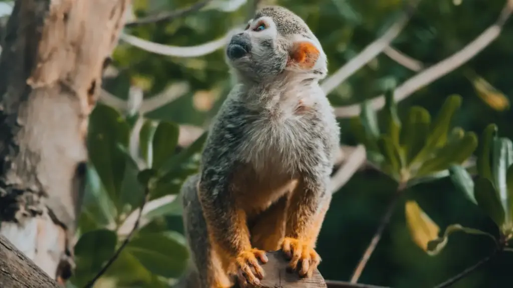 Guide pratique pou gnonw ka bɛɛ kɛ́rɛna: ka fo kɔrɔ Germany brands to Xiaohongshu, fè follow-up contenu pou fans. Conseil, exemples, VPN MaTitie, et sources récentes.