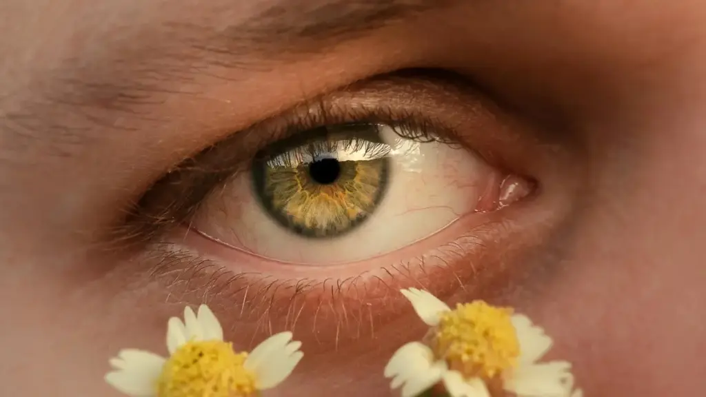 Guide pratique pour créateurs en Côte d'Ivoire: comment contacter marques koweïtiennes sur Shopee, pitcher GRWM vidéos et convertir collaborations.