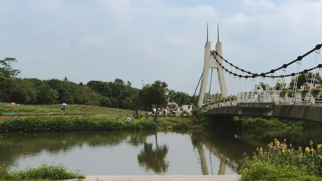 "Guide pratique pou créateurs en Côte d'Ivoire: comment contacter marques Turquie sur TikTok, décrocher tests produit viraux, et naviguer TikTok Shop."