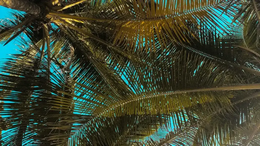 Tigɛ́ ninɛ, sariya ka bɛ fo: sira ka Japan brands la Takatak bɛ don, ka sigi media kit kɔnɔ. Kɔrɔfila, preuve so, ni UZU/APOC info ni conseils pratiques.