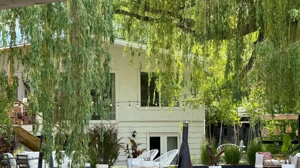 Kɛnɛ kɔrɔjan don fɔ ko ka SoundCloud nɔ Singapore brand fɛɛrɛ live demo — mɛn ni suguya, kan ka sigi, ni fɔlɔkɛlen ye.