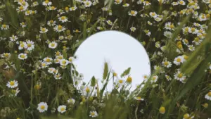 Guide pratique pour annonceurs en Côte d'Ivoire qui veulent recruter créateurs Instagram en Colombie pour promouvoir tours locaux — méthodes, outils, budgets et risques.