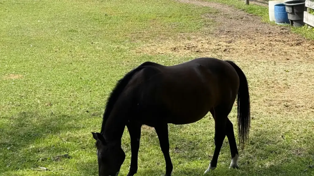 Guide pratique pour annonceurs en Côte d'Ivoire: où dénicher et collaborer avec créateurs Facebook sud‑coréens, stratégies locales, risques et checklist opérationnelle.