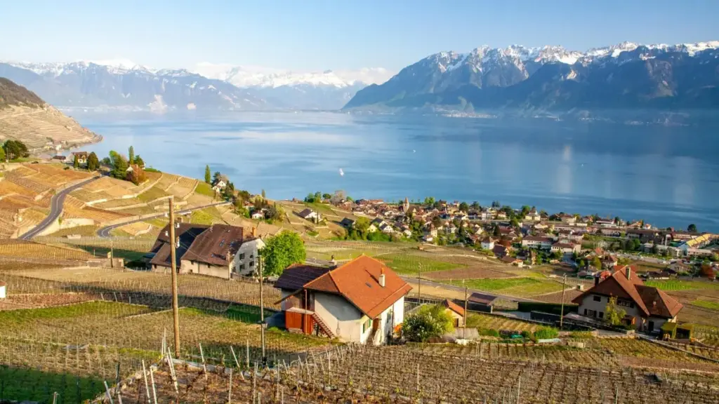 Guide pratique pour annonceurs en Côte d'Ivoire: comment identifier, vérifier et activer créateurs russes qui parlent de Netflix pour campagnes d'affiliation via influenceurs.