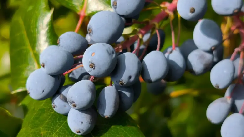 Guide pratique pour annonceurs en Côte d'Ivoire: comment identifier, contacter et collaborer avec créateurs KakaoTalk au Luxembourg pour promouvoir lignes de soins de la peau.