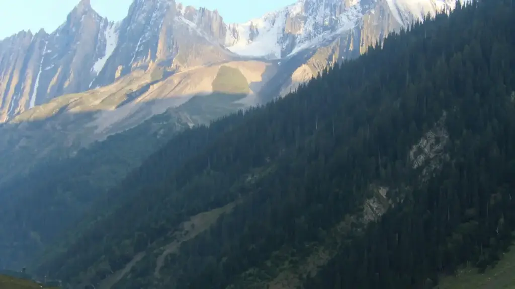 Tigɛrɛ sisan kɛnɛya: ko kɛ ka Estonia brands labɛn TikTok la giveaway kɔnɔ, ka message kɛ, ka collab bɛn, ka trust sɔrɔ.